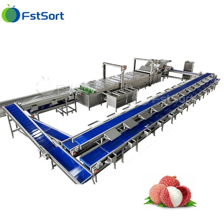Lychee Cleaning Packaging Machine best