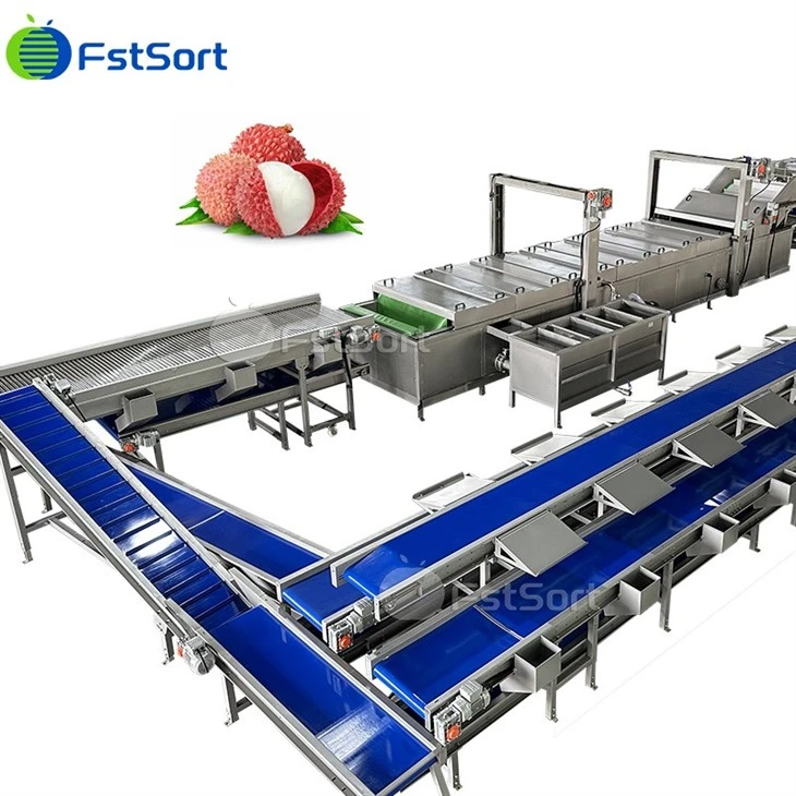 Lychee Cleaning Packaging Machine high quality