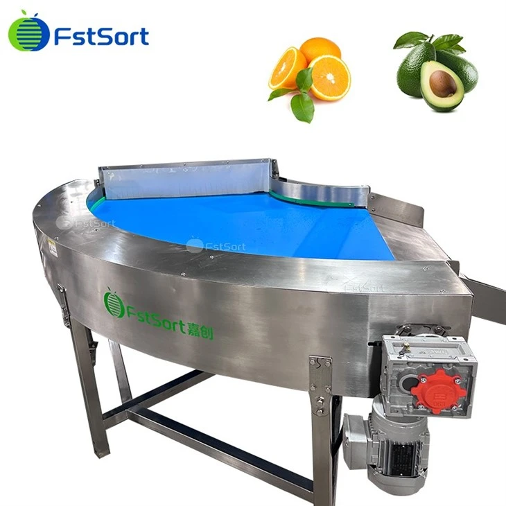 Avocado Fruit Washing Drying Waxing Sorting Processing Machine factory