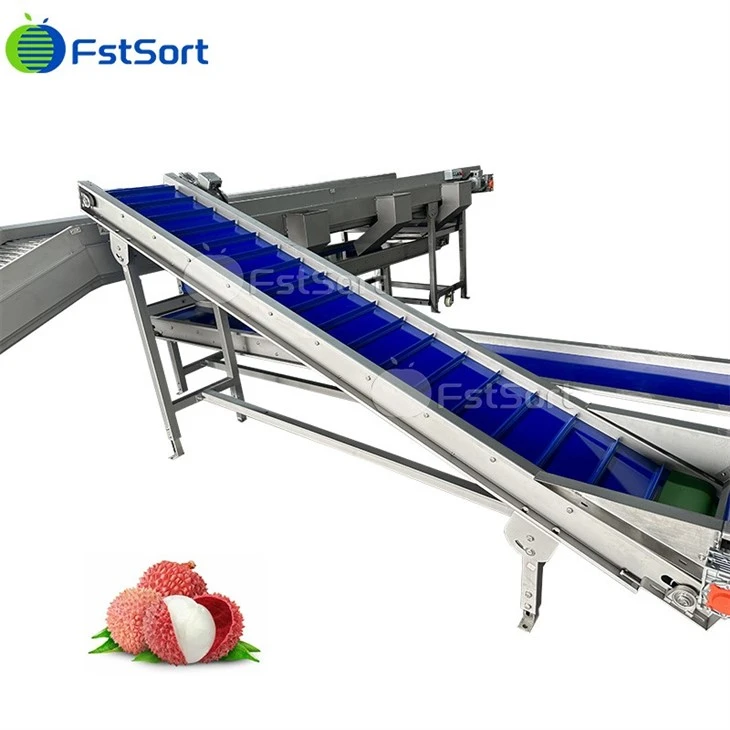Lychee Cleaning Packaging Machine suppliers
