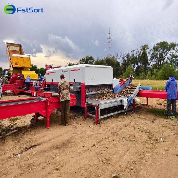 High-Accuracy Potato Optical Sorting Machine for Maximum Efficiency