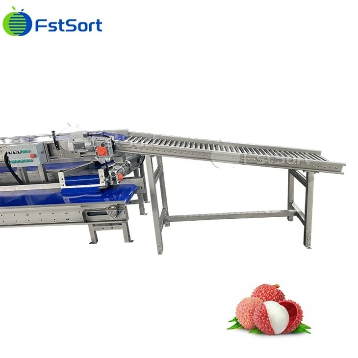 Lychee Cleaning Packaging Machine factory
