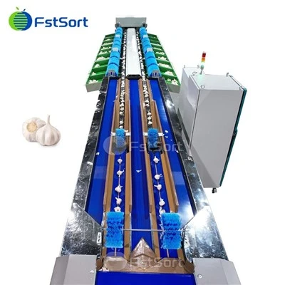 High Quality Garlic Weight Sorting Machine